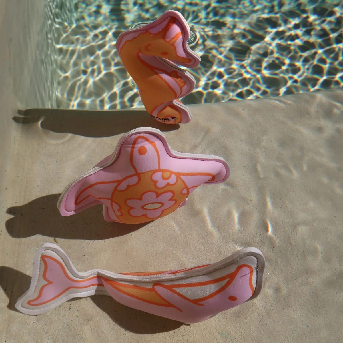 Dive Buddies - Ocean Magic - Image 4