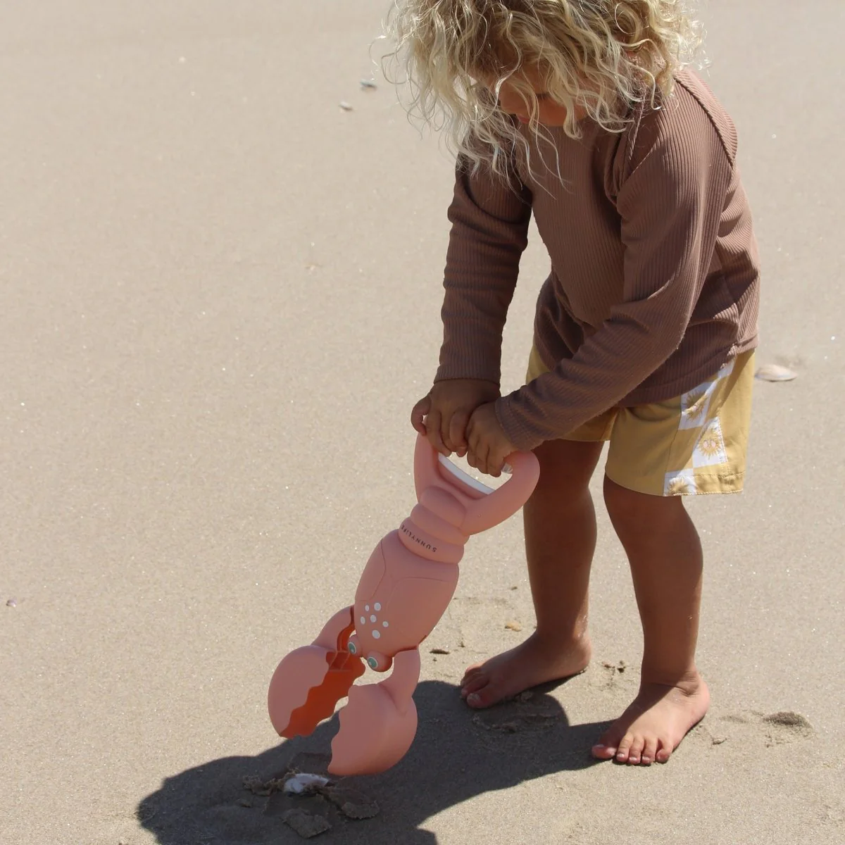 Lobster Sand Claws - Image 3