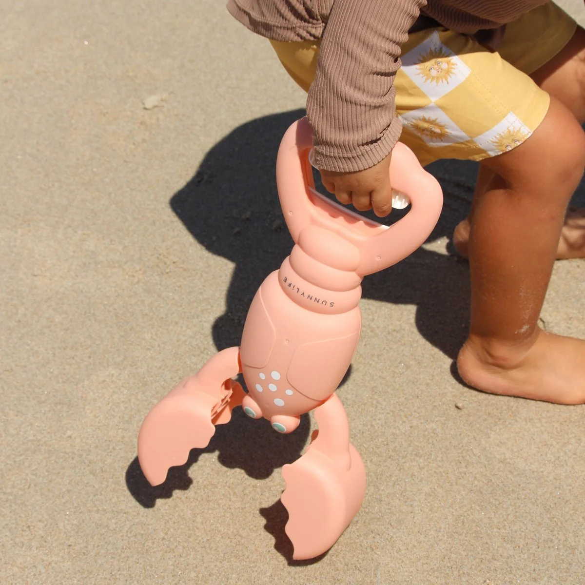 Lobster Sand Claws - Image 5